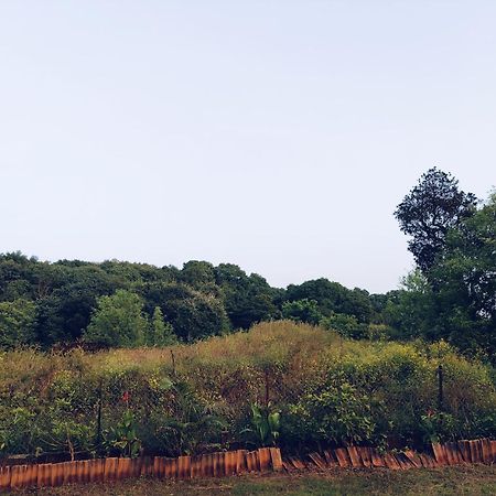 Laforesta By Mahabaleshwar Stay Eksteriør billede
